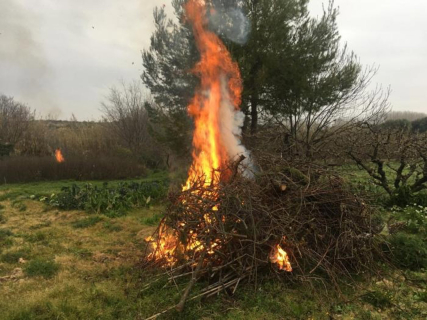 Aragón cierra el 31 de marzo el periodo general de quemas agrícolas