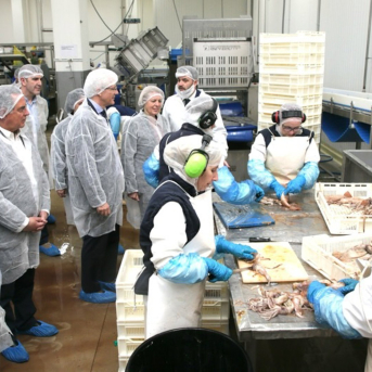 Cantabria otorga 4,5 millones a 31 empresas para modernizar y comercializar productos pesqueros Cantabria otorga 4,5 millones a 31 empresas para modernizar y comercializar productos pesqueros