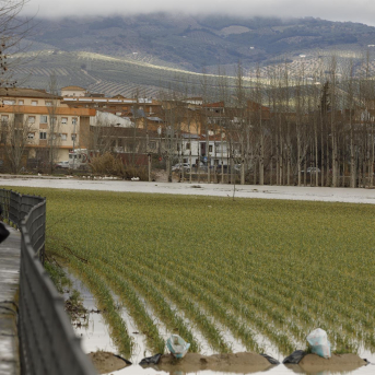 UPA aplaude las ayudas por las borrascas y reclama rapidez y flexibilidad para que alcancen a todos los afectados UPA aplaude las ayudas por las borrascas y reclama rapidez y flexibilidad para que alcancen a todos los afectados