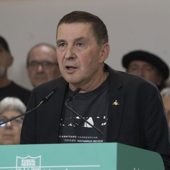 El secretario general de EH Bildu, Arnaldo Otegi Iñaki Berasaluce - Europa Press