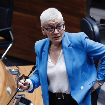 Salud afirma que no tiene registradas quejas por el cierre de la sala de lactancia El Ñeru en Cabueñes Salud afirma que no tiene registradas quejas por el cierre de la sala de lactancia El Ñeru en Cabueñes