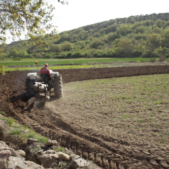 Roland Berger alerta de una crisis de fertilizantes en Europa aún más dura que la de 2021-2022