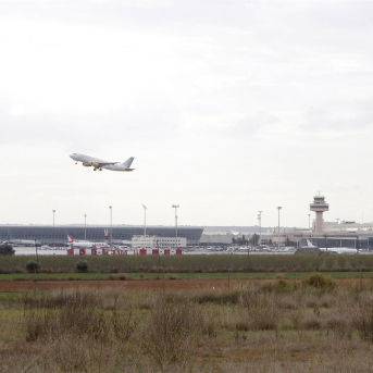 Un avión despega en el aeropuerto de Palma, a 8 de noviembre de 2021, en Palma de Mallorca, Mallorca, Islas Baleares (España). Isaac Buj - Europa Press Un avión despega en el aeropuerto de Palma, a 8 de noviembre de 2021, en Palma de Mallorca, Mallorca, Islas Baleares (España). Isaac Buj - Europa Press