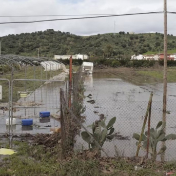 Ampliación | El Gobierno lanza 100 millones en ayudas a agricultores y pescadores dañados por las borrascas