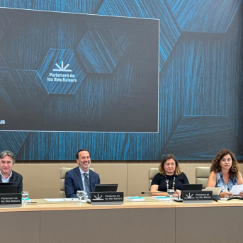 PP y Vox logran reactivar sus enmiendas a la ley de proyectos estratégicos tras el veto del PSIB