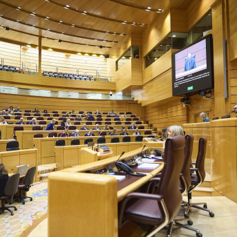 El presidente del Senado, Pedro Rollán, durante una sesión plenaria, en el Senado | Jesús Hellín / Europa Press El presidente del Senado, Pedro Rollán, durante una sesión plenaria, en el Senado | Jesús Hellín / Europa Press