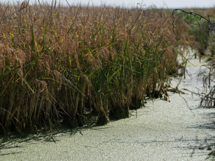 Los regantes acuden con mucha ilusión a la comisión de desembalse a la espera de recuperar la normalidad