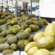 La Mesa de Precios de melón y sandía de C-LM reclama más planificación ante la volatilidad del mercado