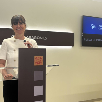 Allué (PP) exige al Gobierno de España una financiación suficiente para la educación especial
