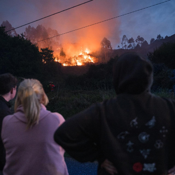 Medio Rural suministra alimento urgente a un centenar de vacas de una granja de Pazos de Borbén afectada por el incendio