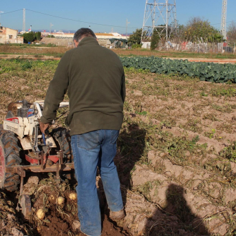 El Consell avala la liquidación y disolución del Consorcio Consell de l'Horta