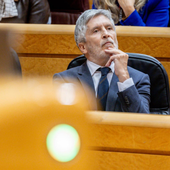 El ministro del Interior, Fernando Grande-Marlaska, durante una sesión de control al Gobierno, en el Senado Ricardo Rubio - Europa Press