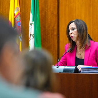La consellera de Foment, Articulació del Territori i Habitatge, Rocío Díaz, en una compareixença en comissió parlamentària. (Foto d'arxiu). JOAQUIN CORCHERO/ PARLAMENT D'ANDALUSIA