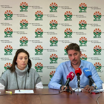 UPA-UCE Extremadura exige a la Junta ayudas extra para los agricultores dañados por las borrascas