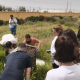 El Ifapa acerca a jóvenes agricultores de Almería los últimos avances en control biológico de plagas