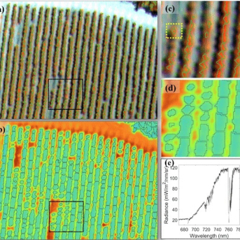 El IAS-CSIC encabeza dos estudios globales en la vanguardia de la teledetección hiperespectral subnanométrica