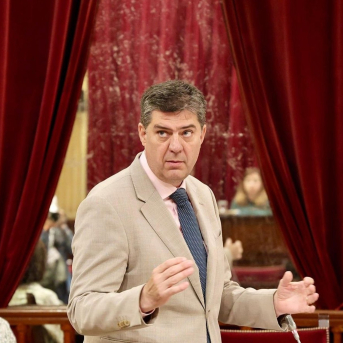 Las denuncias por motivos lingüísticos se reducen un 72% en esta legislatura, según el IEB