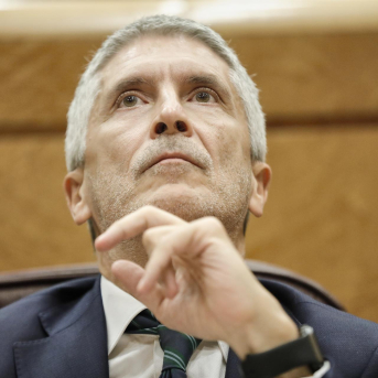 El ministre de l'Interior, Fernando Grande-Marlaska, durant una sessió de control al Govern al Senat, a Madrid (Espanya) a 14 de juliol de 2020. EUROPA PRESS/J. Hellín. POOL - Europa Press