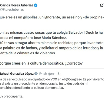 Flores (Vox) insulta a González (Sumar) llamándole gilipollas y nazi y lo justifica por ataques previos a su compañero expulsado