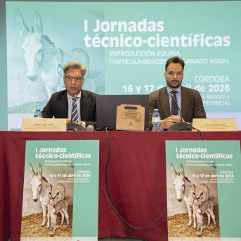 La Diputación inaugura la primera sesión de las jornadas científicas sobre reproducción equina y ganado asnal