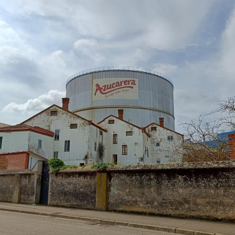 Asaja reclama a la Junta de CyL que intervenga tras la negativa de Azucarera a renovar contratos con remolacheros