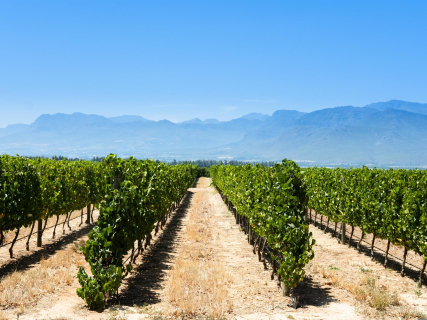 Unión de Uniones exige a Hacienda la orden de módulos del IRPF agrario tras dos semanas de campaña