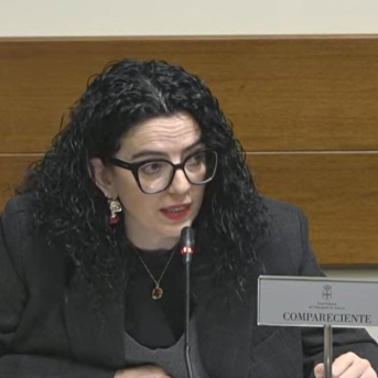 Asturias prepara una nueva ley para ordenar su red de museos y colecciones