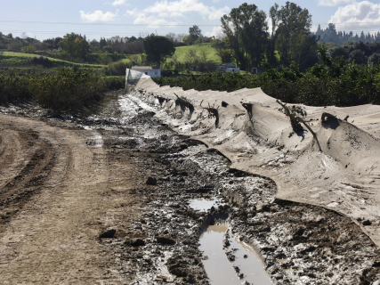 Agricultura difunde un primer listado de 876 ayudas por daños de borrascas en el campo