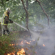 Bombero forestal Carlos Castro - Europa Press