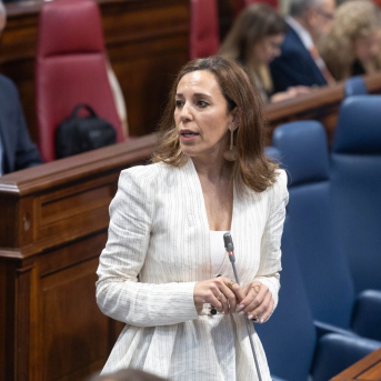 De León pedirá una reunión con Elma Saiz para impulsar la jubilación anticipada de las camareras de piso