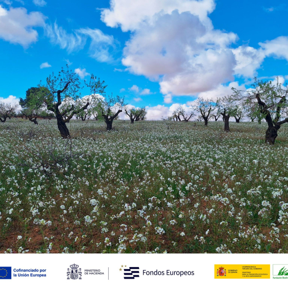 Nace el proyecto ESIL para impulsar la bioeconomía y los servicios ecosistémicos en Castilla-La Mancha