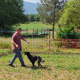 La Escuela Agraria del Pirineu organiza un curso para adiestrar perros truferos