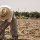 Trabajador en el campo UNIÓN DE UNIONES