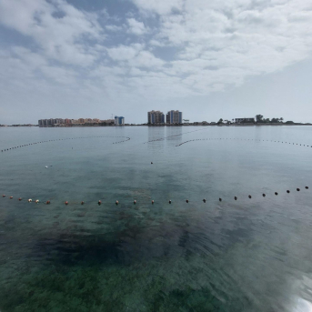 El Gobierno regional adelanta la campaña del langostino del Mar Menor tras constatar tallas adecuadas