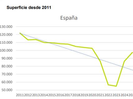 Evolution of the rice cultivated area in Spain since 2011