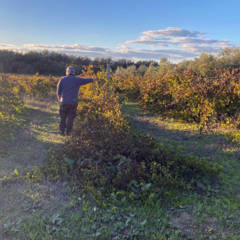 WWF impulsa FARO Doñana para acelerar la transición agroalimentaria junto a agricultores y SEAE