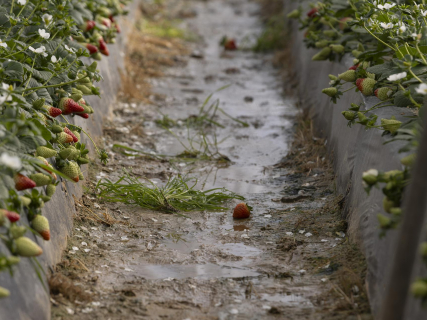 El Gobierno difunde un segundo listado con más de 27.000 ayudas directas por las borrascas