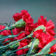 Andalucía supera las 1.000 hectáreas dedicadas a flor cortada y planta ornamental