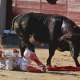 EuropaPress 7408149 29 march 2026 spain madrid bullfighter cristian perez during the bullfight