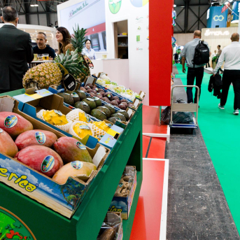 Las ventas exteriores agroalimentarias valencianas suman 1.889 millones al inicio de 2026