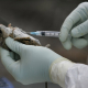 Ratón positivo por hantavirus examinado en San Diego, EEUU (archivo) Europa Press/Contacto/s44