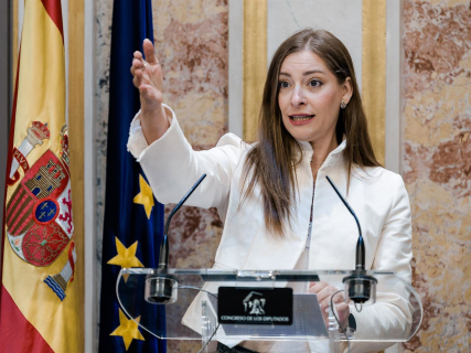 Ampliación | El PP acusa al Gobierno de “caos absoluto” en la crisis del hantavirus y cuestiona la capacidad de Mónica García