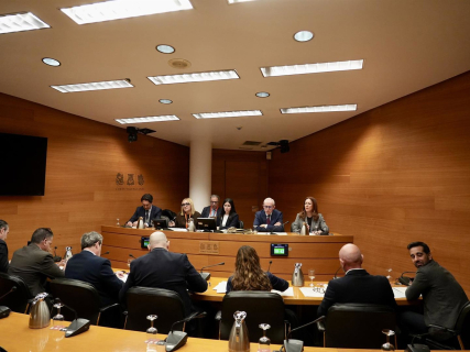 La comisión de la dana en Les Corts fija el cierre de sus trabajos para finales de mayo