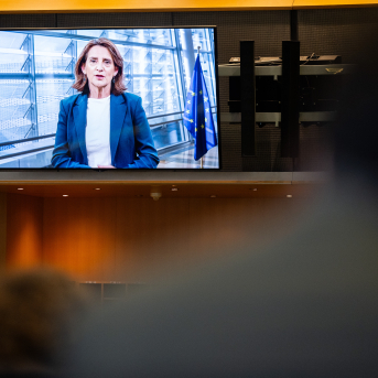 European Parliament 