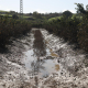 La Junta limita a 150.000 euros las ayudas a agricultores y ganaderos por los daños del tren de borrascas