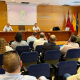 Agricultura lanza un plan con 700 inspecciones para frenar el virus de la clorosis nervial amarilla en cítricos