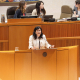 El Parlamento de Aragón respalda acelerar el acceso a la terapia para la piel de mariposa