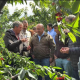 La Junta evalúa los daños en la cereza del Jerte tras las últimas borrascas para definir ayudas