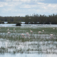 Imagen de las marismas de Doñana. María José López - Europa Press