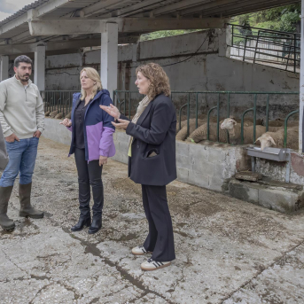 Susinos ve un buen porvenir para el campo cántabro tras un récord de solicitudes de ayudas Susinos ve un buen porvenir para el campo cántabro tras un récord de solicitudes de ayudas